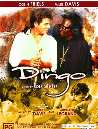 Dingo