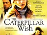 Caterpillar Wish