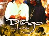 Dingo